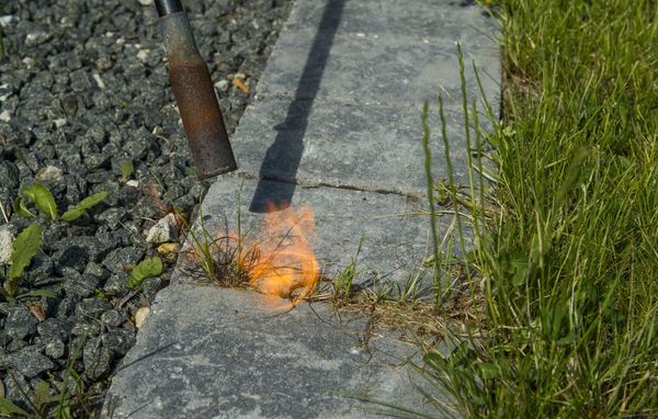 Pas på med ukrudtsbrænderen
