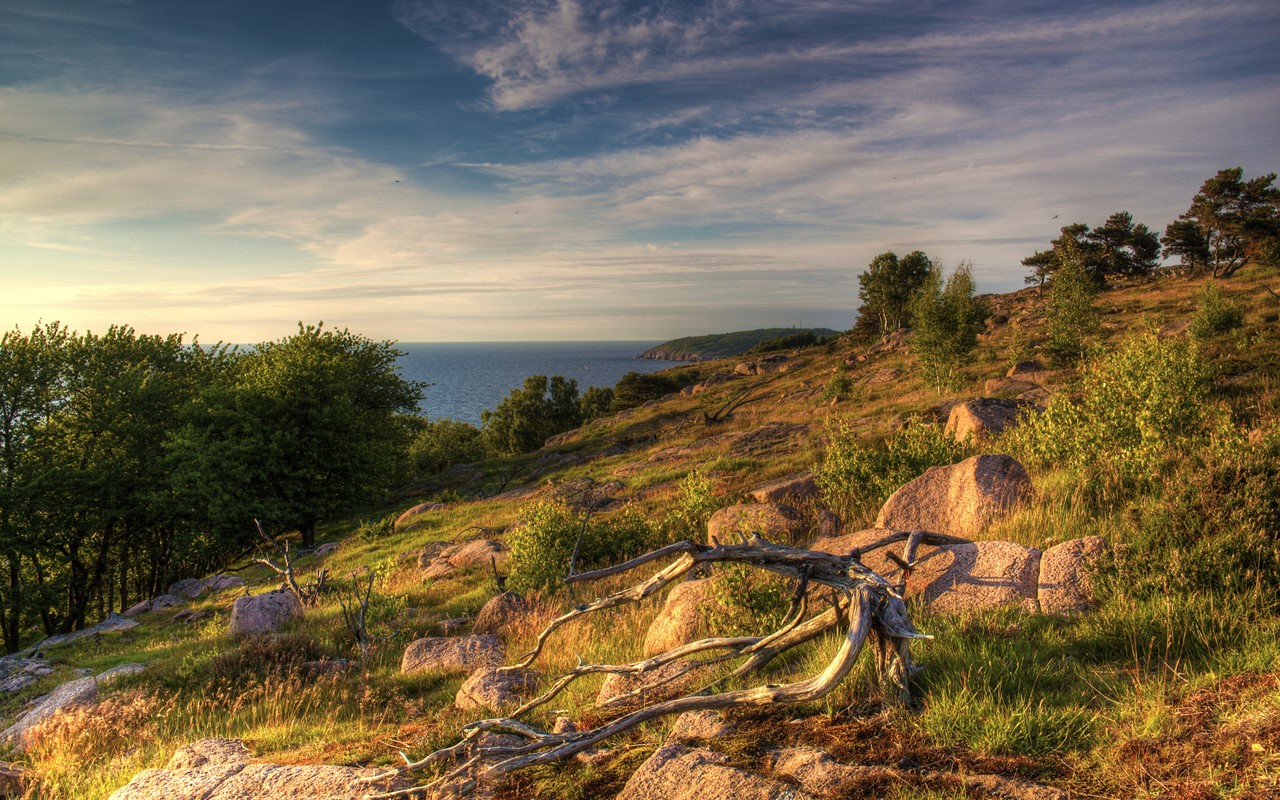 Nyheder Bornholms Brandforsikring A/S